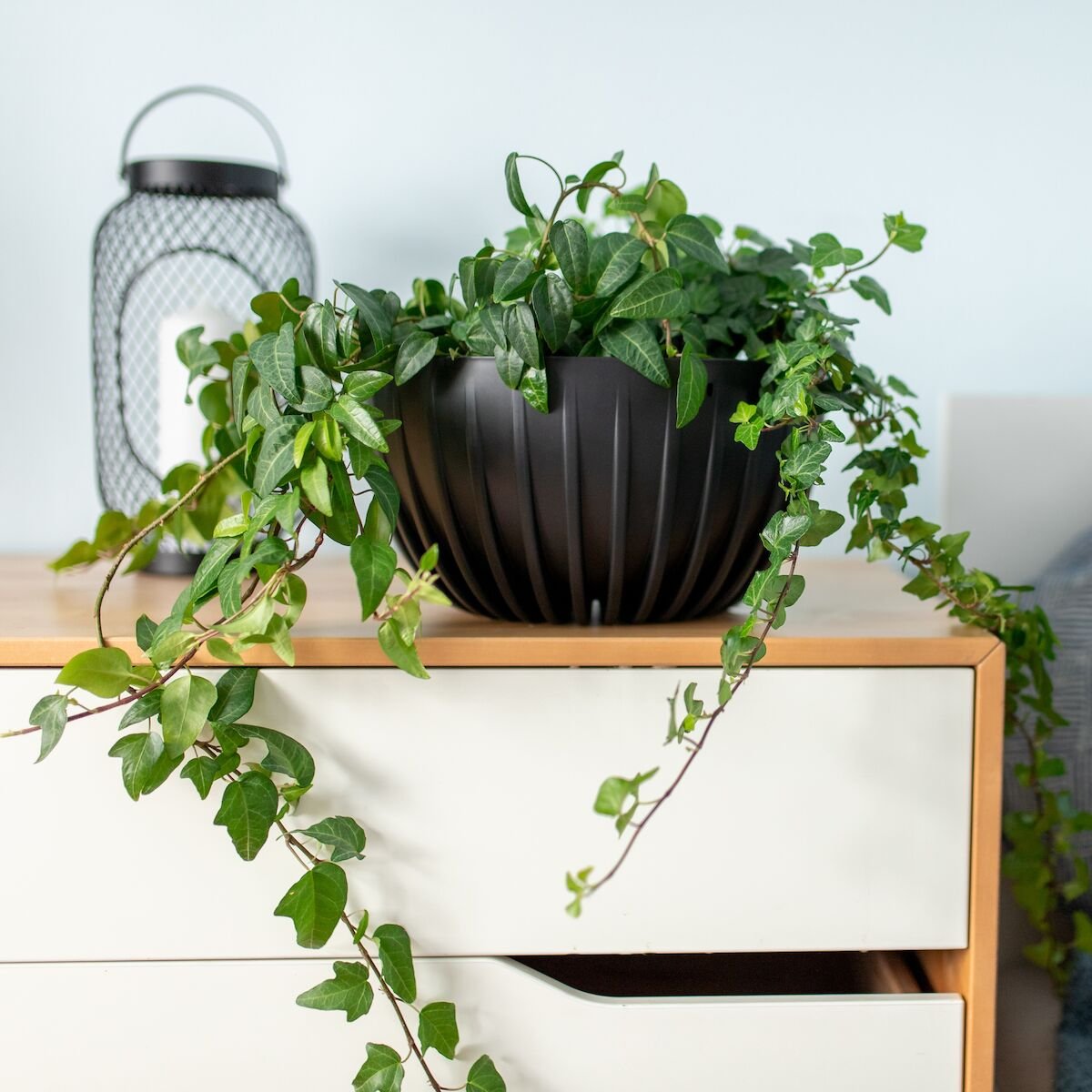 4Living Mira laakea ECO ruukku Ø30 cm musta