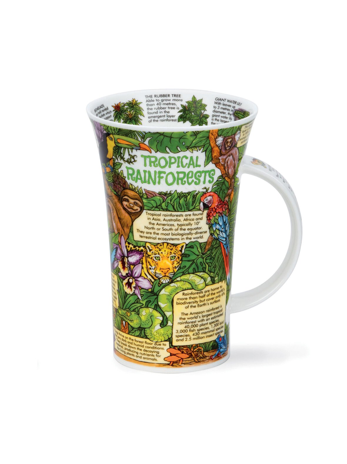 Glen tropical rainforest -muki 0,5 l