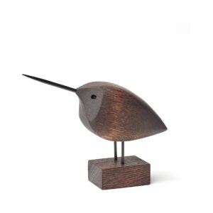 Beak bird, awake snipe -koriste