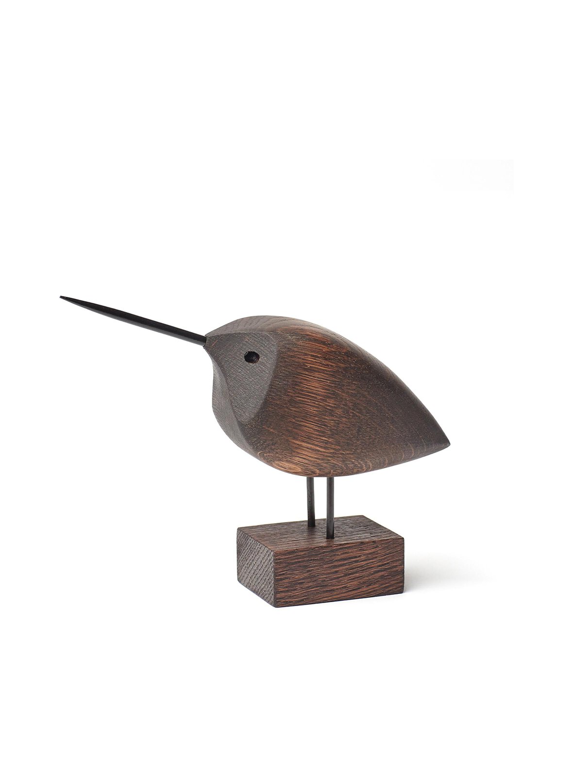 Beak bird, awake snipe -koriste