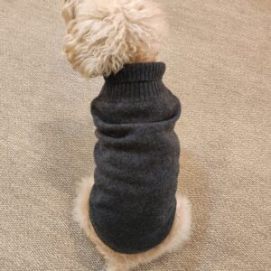 Dog Cashmere Sweater Anthracite
