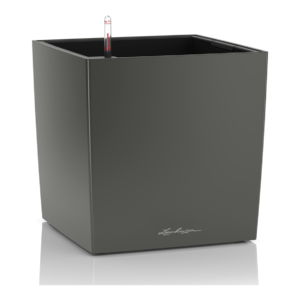 Cube premium 40 tummaharmaa altakasteluruukku pyörillä ∅40x40cm korkeus 40cm