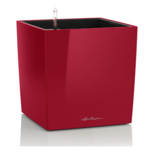 Cube premium 40 punainen altakasteluruukku pyörillä ∅40x40cm korkeus40cm