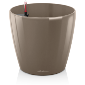 Classiko ls taube altakasteluruukku  ∅35cm, korkeus 33cm