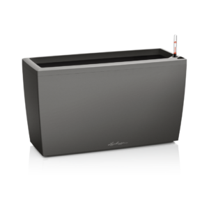 Cararo premium tummaharmaa altakasteluruukku rullilla 75x30cm, korkeus 43cm