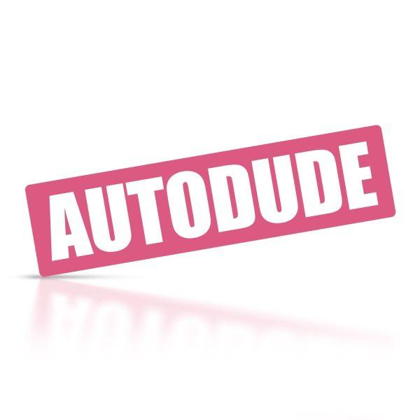 Tarra Autodude Pinkki, valkoinen teksti, 130x35mm, 1 kpl