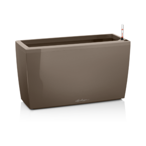 Cararo premium taube altakasteluruukku rullilla 75x30cm, korkeus 43cm