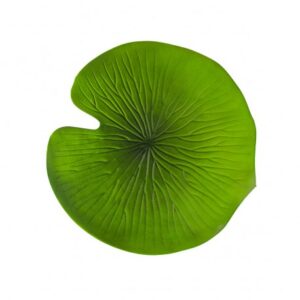 Iso Vesililjalehti, 38,5cm