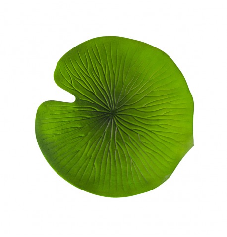 Iso Vesililjalehti, 38,5cm