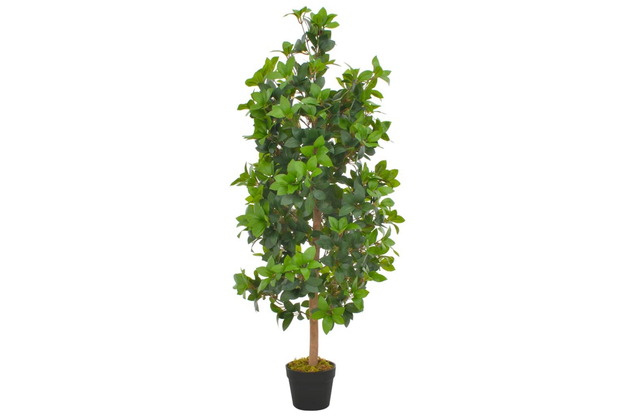 Tekokasvi laakeripuu ruukulla vihreä 120 cm - Monivärinen