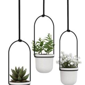 Umbra Triflora roikkuva kukkateline pieni valkoinen/musta
