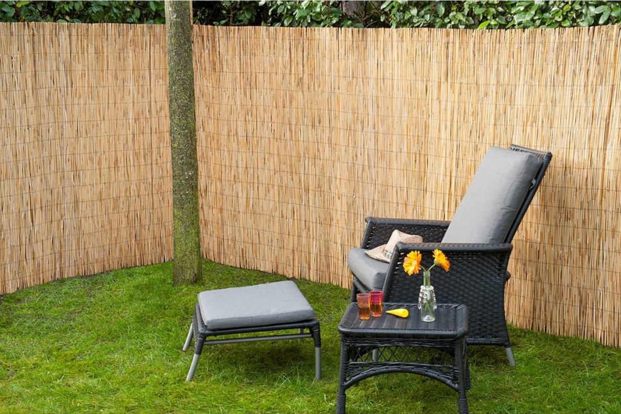 Nature Puutarha-aidat 2 kpl bamburuoko 500x100 cm - Beige