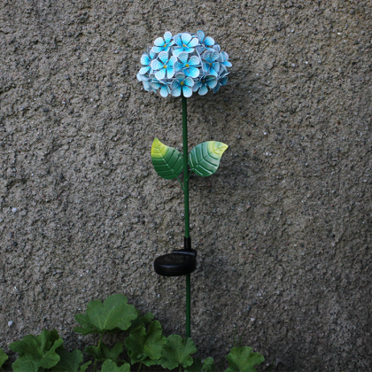 Varrellinen aurinkokennokukka, Sininen Hortensia