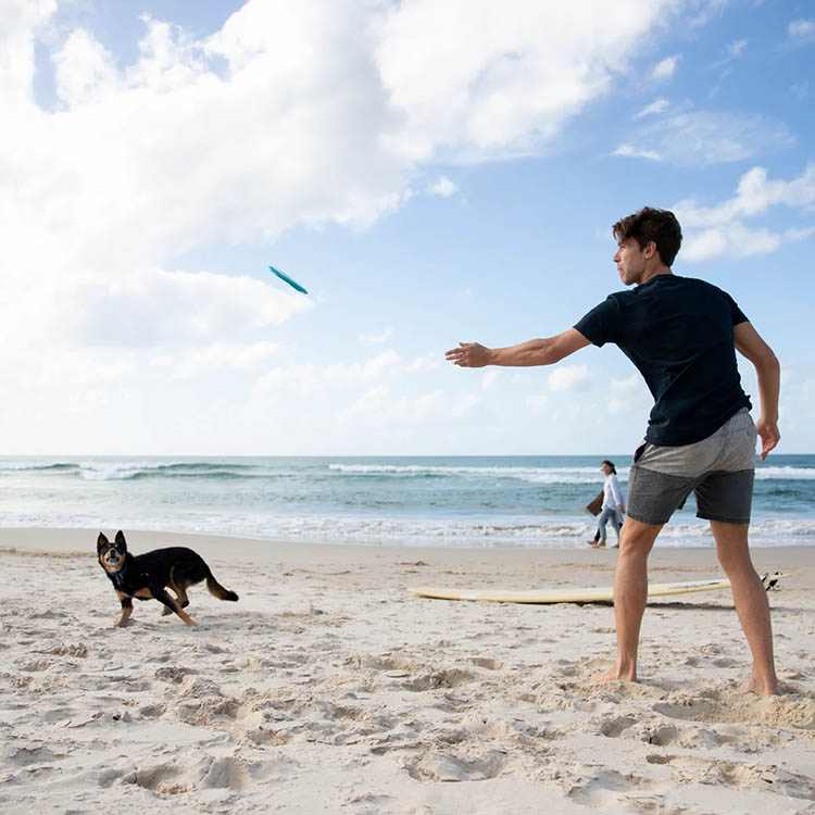 Frisbee koiralle