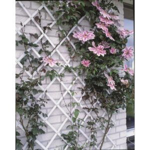 Nature Puutarhasäleikkö 50x150 cm PVC Valkoinen 6040701 - Valkoinen