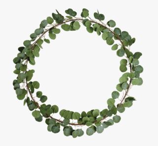 Eucalyptus kranssi vihreä