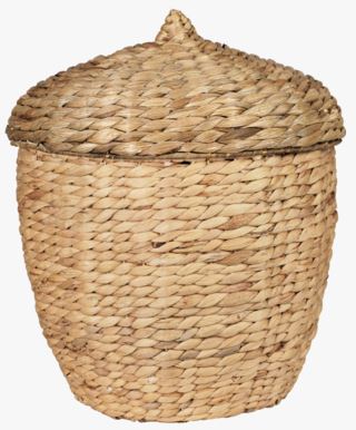 Acorn kori suuri luonnonväri