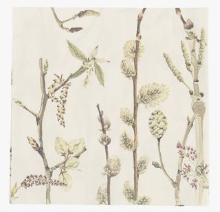 Early Branches paperiservetit keltainen