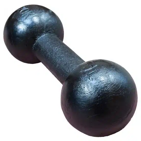 Circus Dumbbells käsipainot 48 kg - valurautaa