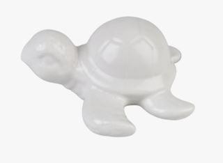 Tortoise koriste valkoinen