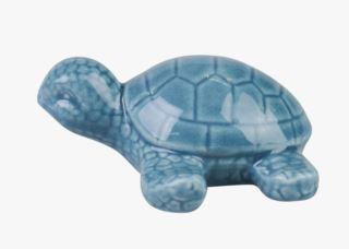Turtle koriste sininen