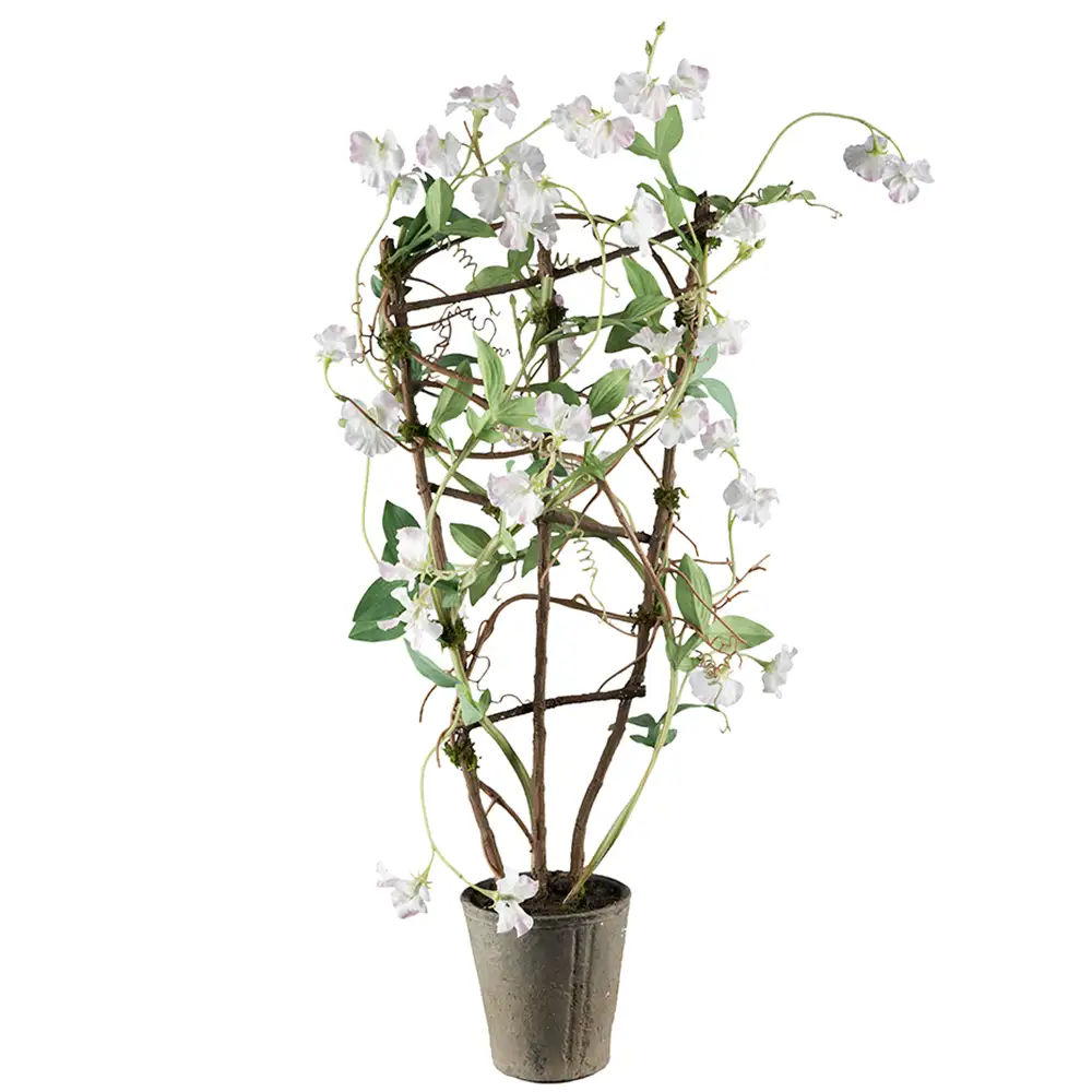 Mr Plant, Tuoksupioni Huonekasvi 90 cm Valkoinen