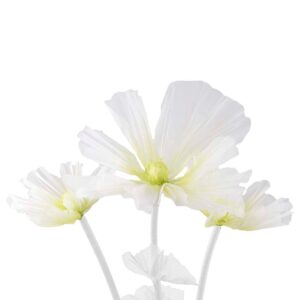 Mr Plant, Kukka Leia Ø80/60/40 cm lime