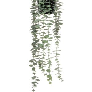 4Living riippuva mehikasvi ruukussa 58 cm