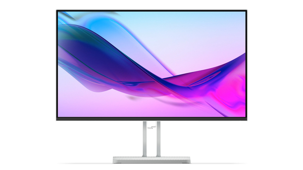 Lenovo L24i-4A 23.8-inch Monitor