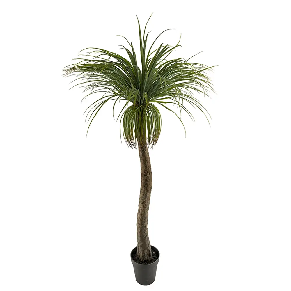 Mr Plant, Pullo lilja 180 cm