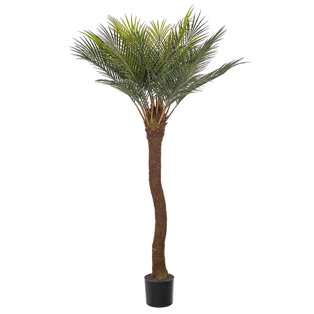 Mr Plant, Cycas Palmu 90 cm