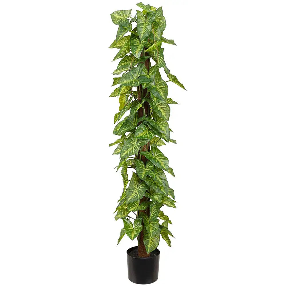 Mr Plant, Hanhenjalka Puu 120 cm