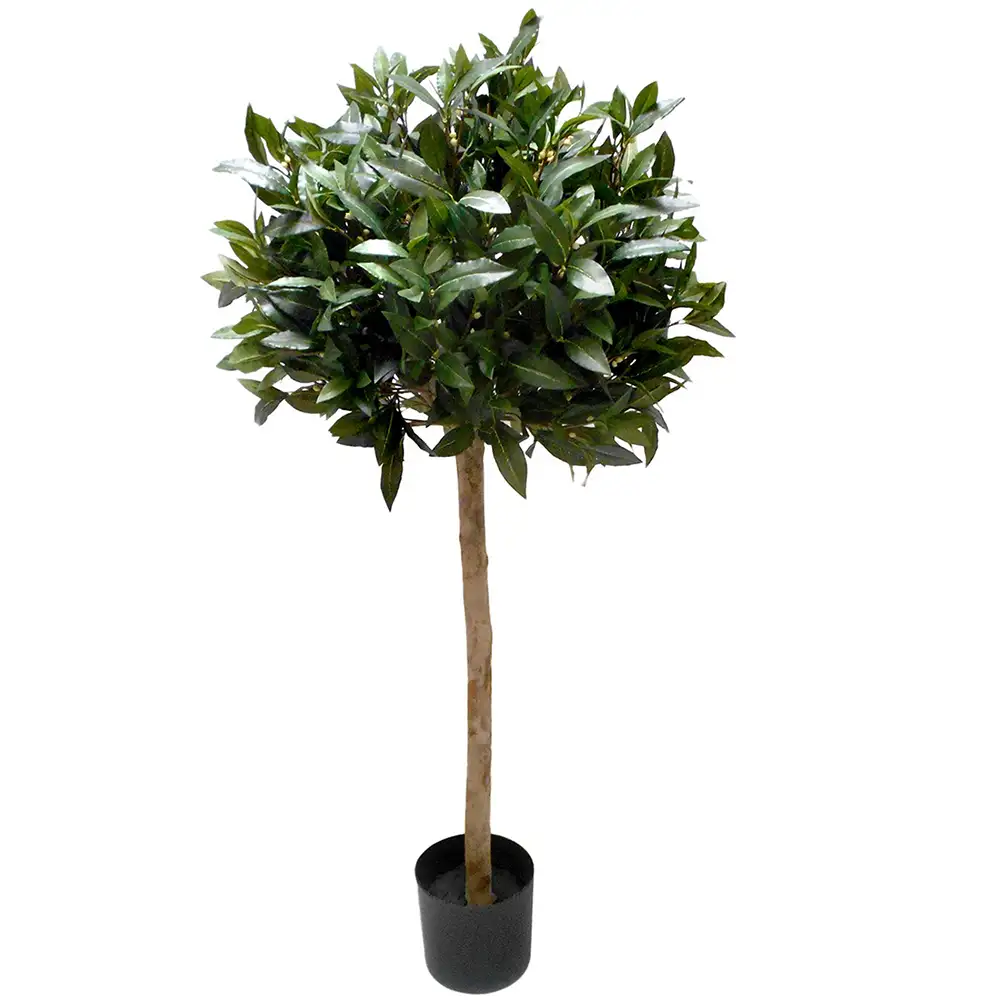 Mr Plant, Lagerlaakeripuu 150 cm
