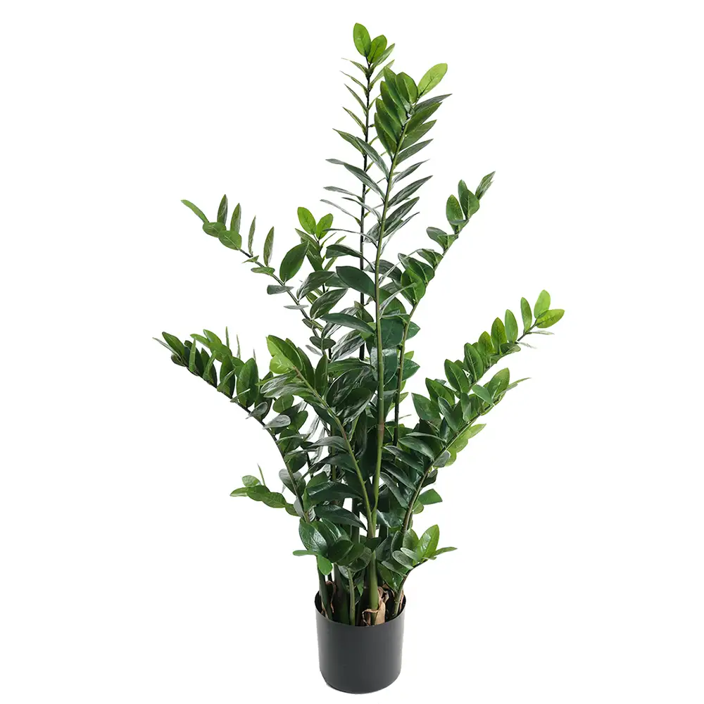 Mr Plant, Zamifolia Huonekasvi 130 cm