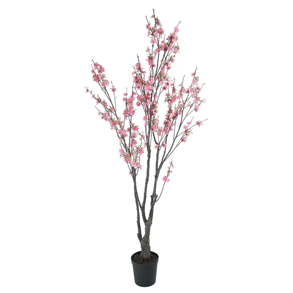 Mr Plant, Kirsikkapuun Kukka Puu 180 cm