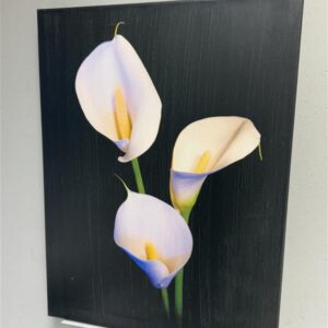 Isku Calla Liljat kanvaasi 60x80 sisustustaulu