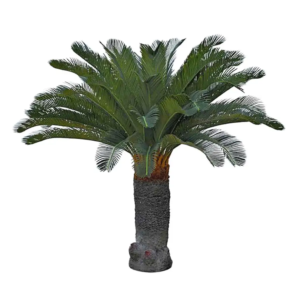 Mr Plant, Cycas Palmu 130 cm