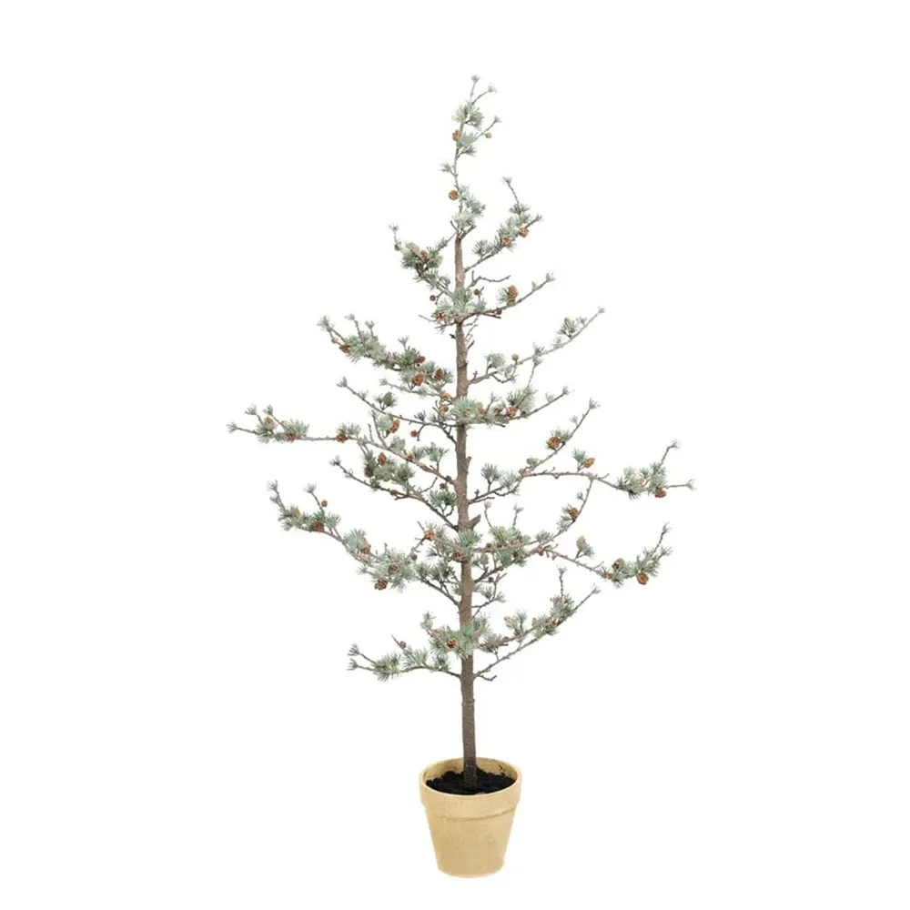 Mr Plant, Lehtikuusi 135 cm