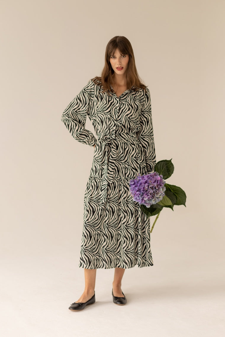 Zebra Geometric Mekko