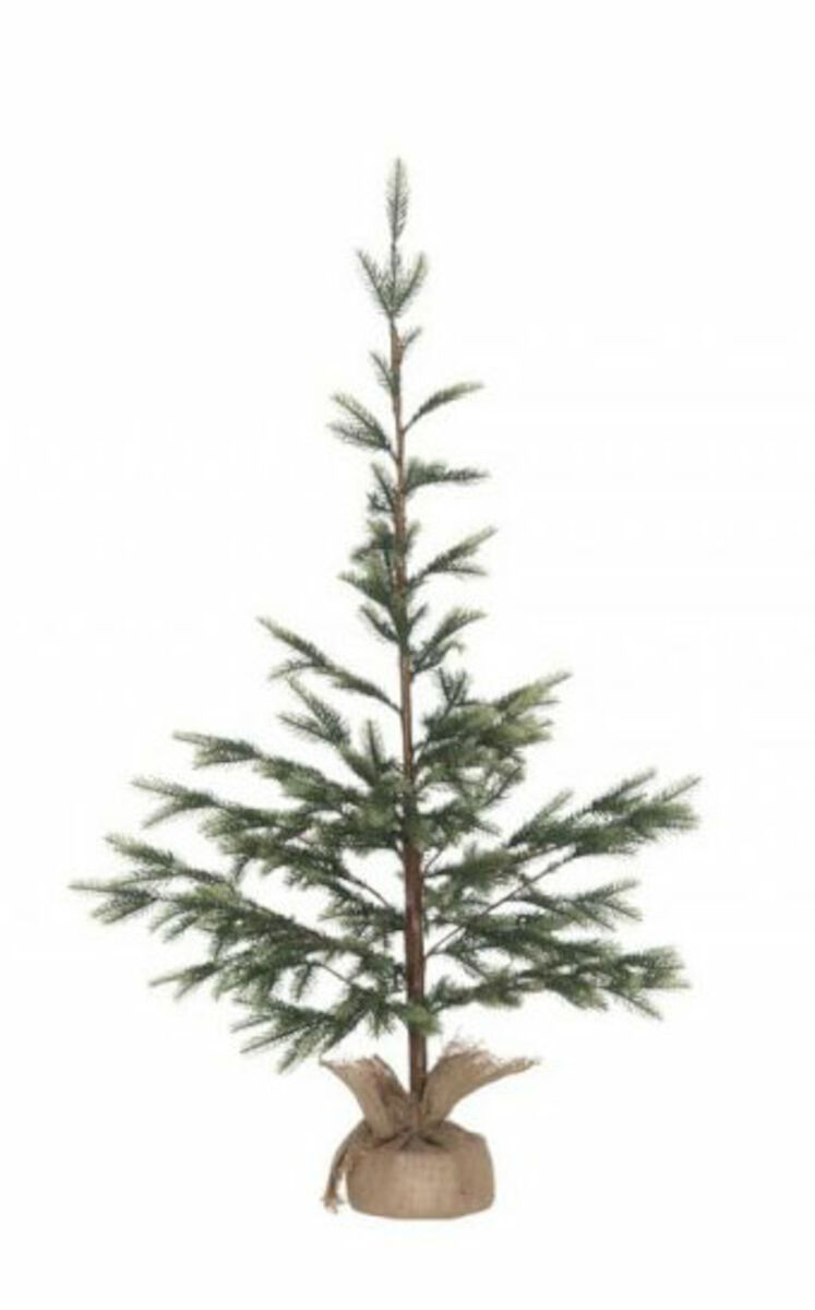 Winteria kuusi juuttiruukussa 120 cm