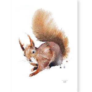 Juliste orava 50x70 cm