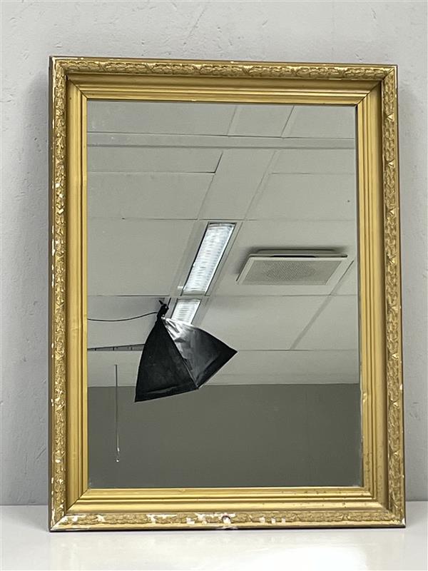 Pilkington Optimirror kultakehys peili 50x67