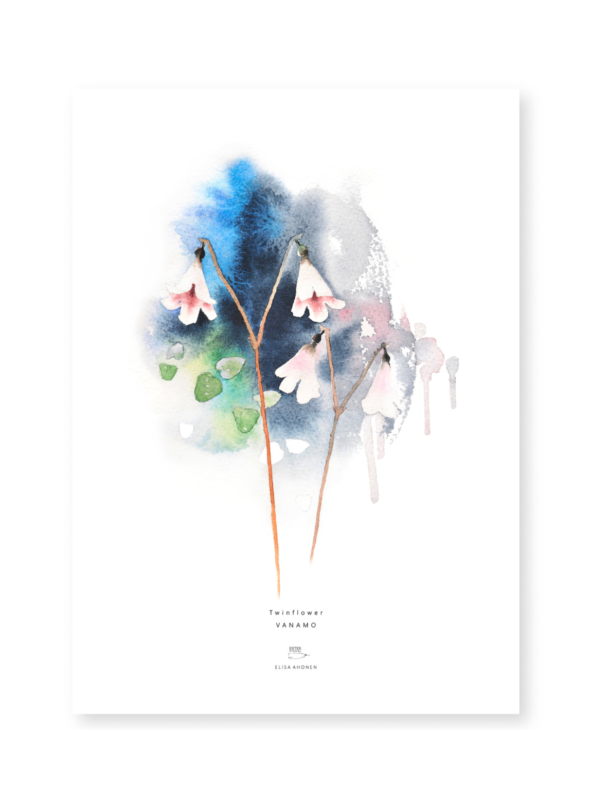 Juliste vanamo 50x70 cm