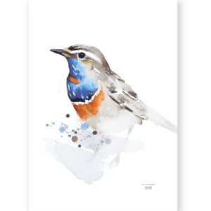 Juliste sinirinta 50x70 cm