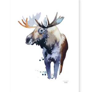 Juliste kruunupää hirvi 50x70 cm