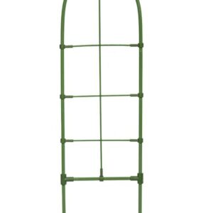 Kasvien tuki 60cm, Bradas
