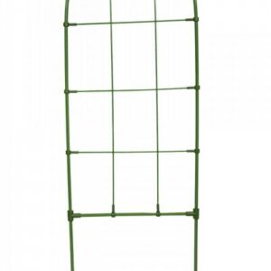 Kasvituki Bradas, 75 cm