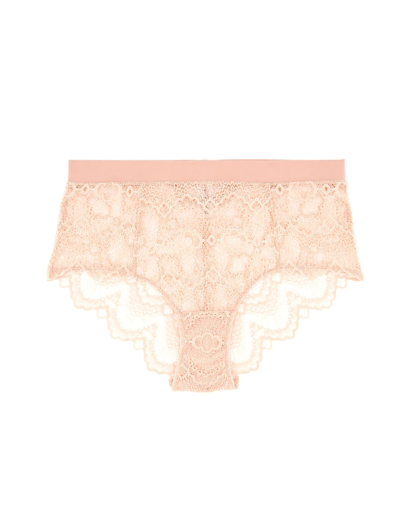 Lace Highwaist Briefs Naked