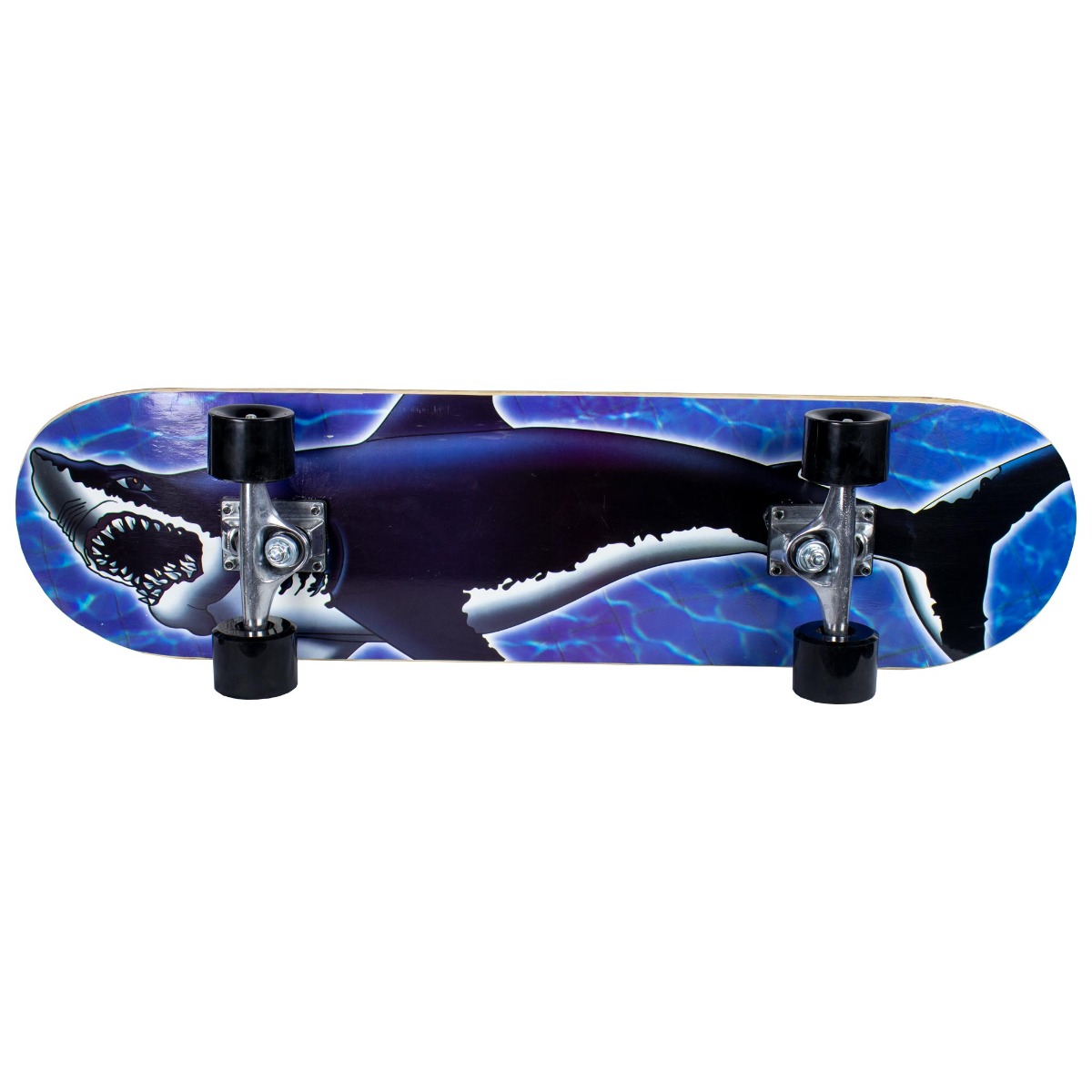 Sandbar rullalauta Shark 31X8"