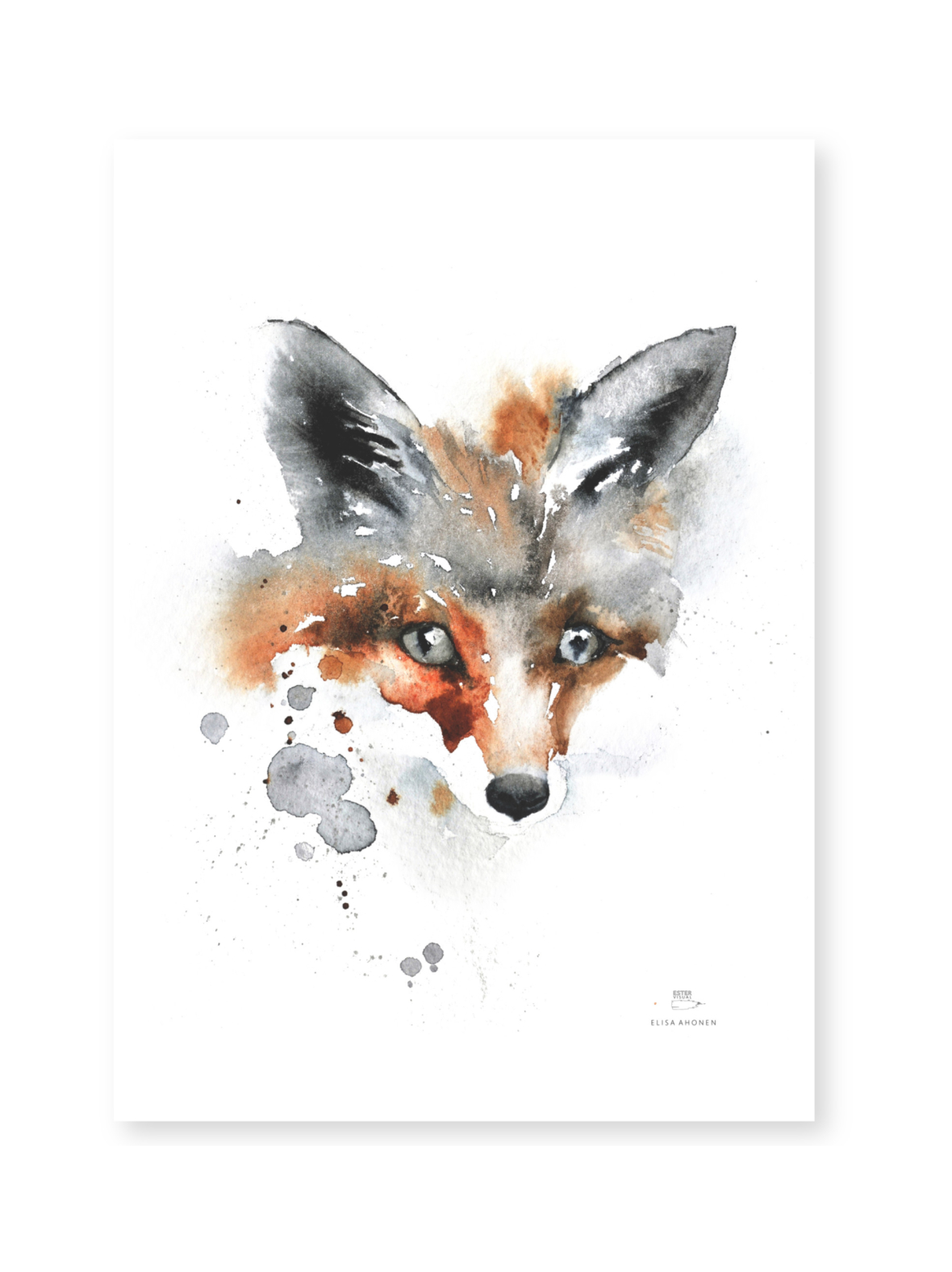 Juliste kettu 50x70 cm